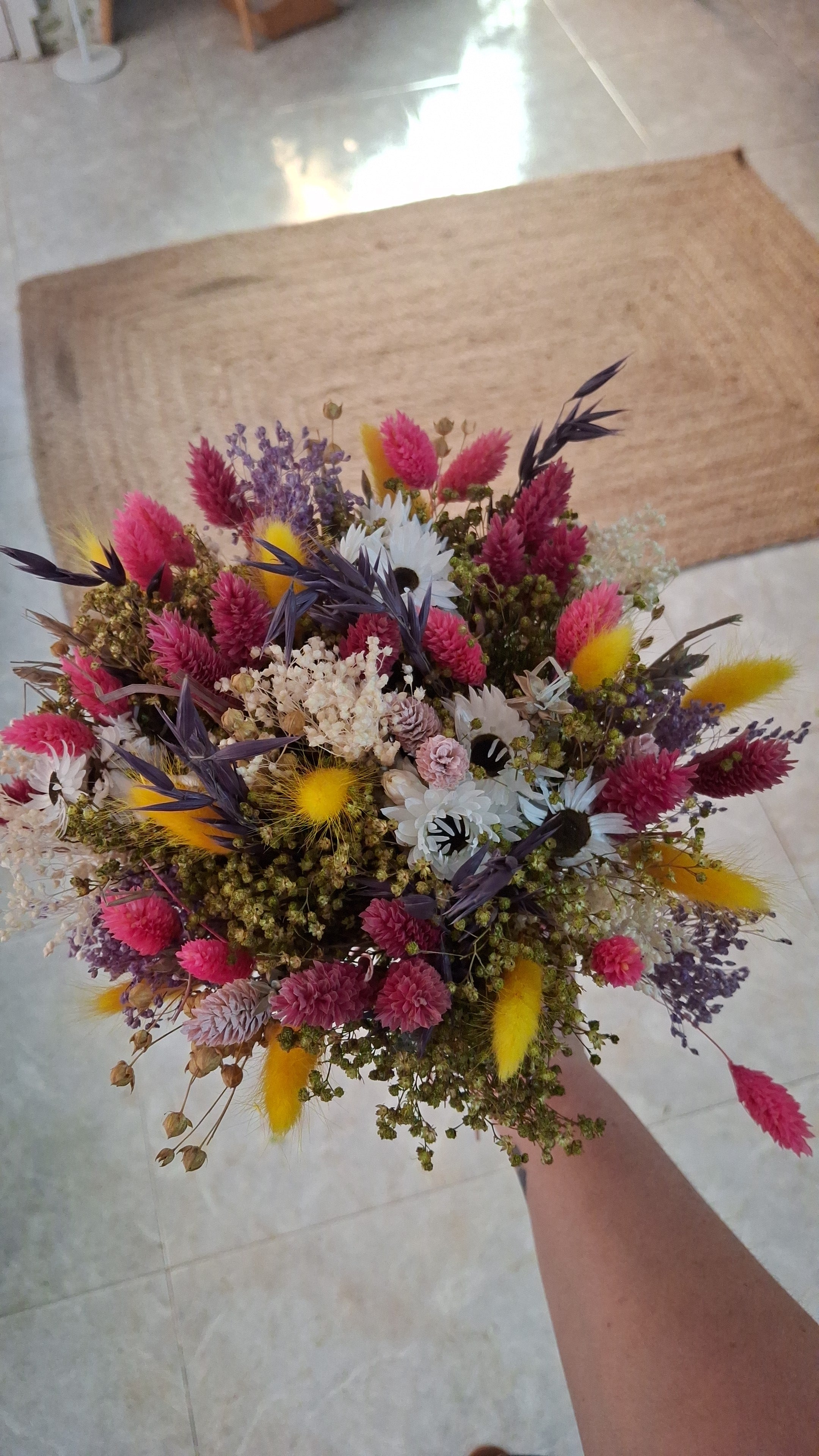 Alegría Silvestre 🌸